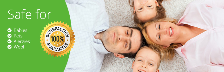 Carpet Cleaning